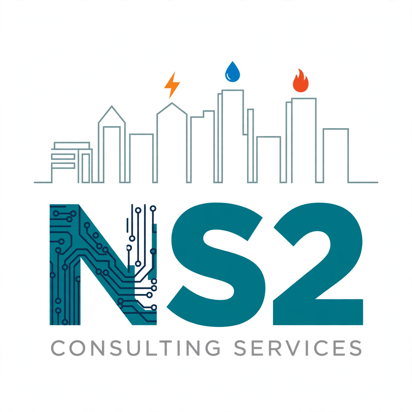 NS2 Consulting Services